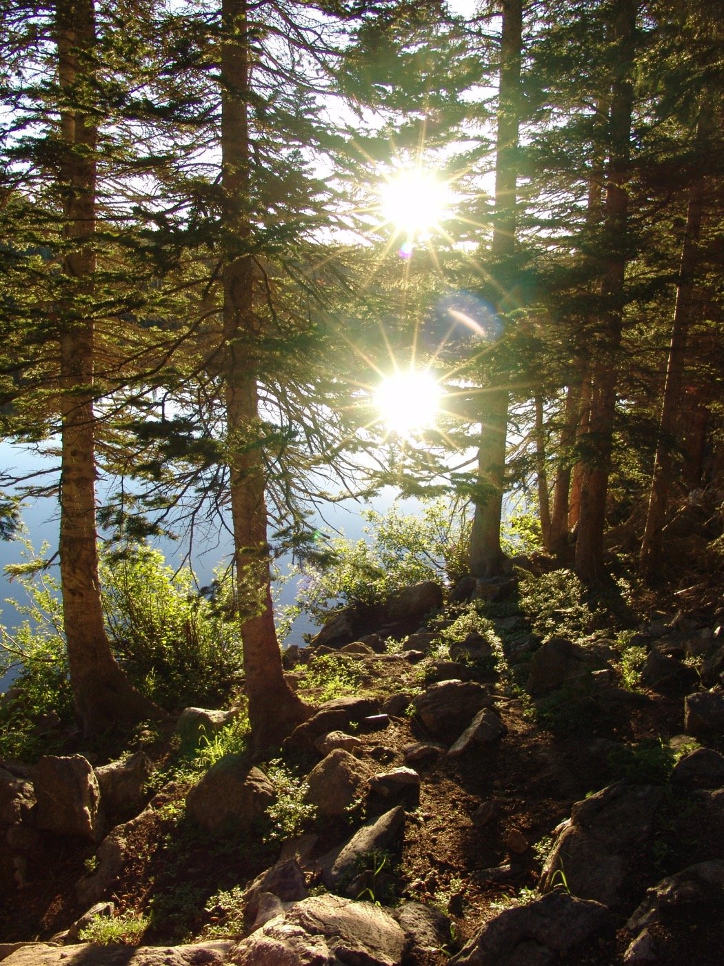 Bear Lake in Rocky Mountain National Park